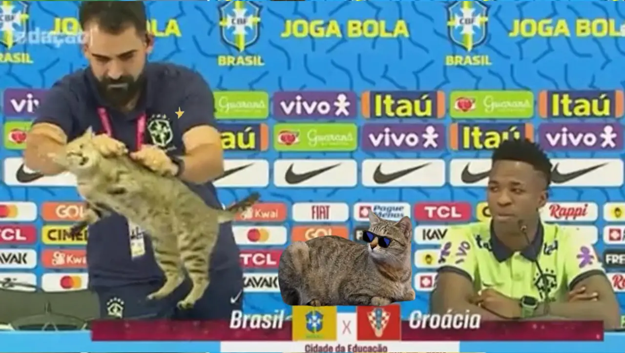 brazil kucing